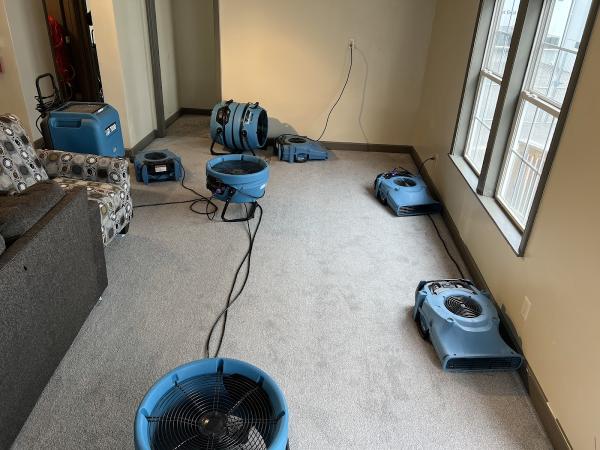 Full Restoration Service