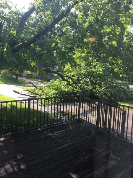Ken's Tree Service or Kens Tree Care