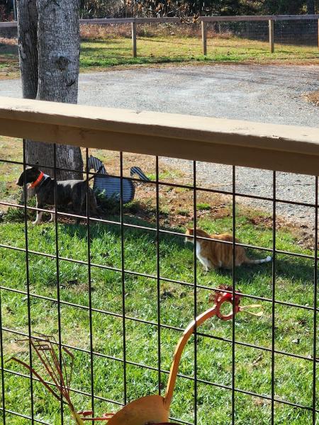 Stott Farm Fencing