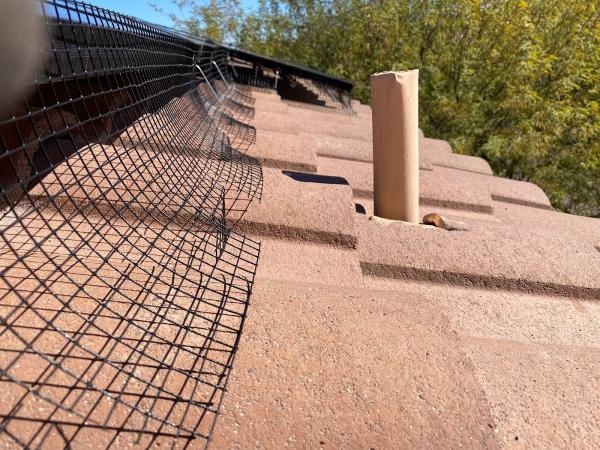 World Solar Cleaning & Bird Proofing
