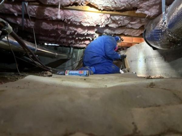 McHale's Environmental Insulation