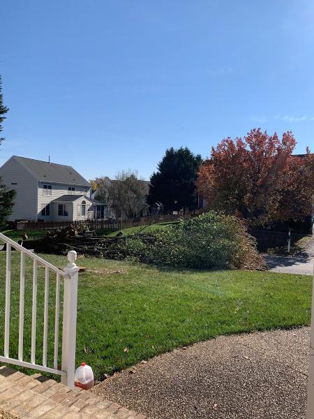 Fall Line Arborists