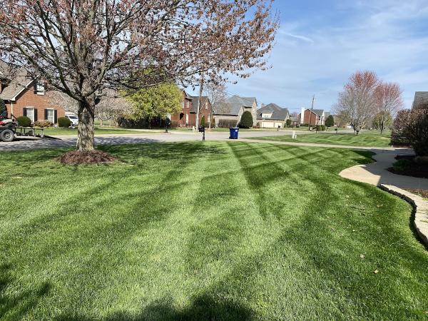 Don and Sons Lawncare