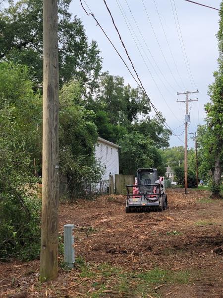 Stump Grinding Solutions