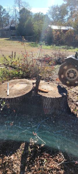 Stump Grinding Solutions