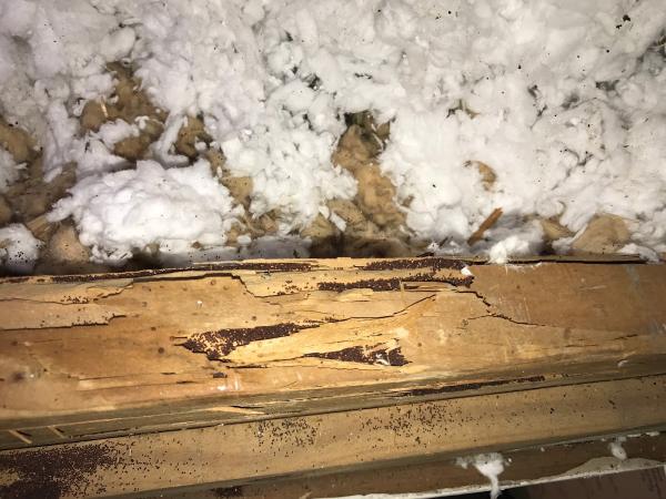 Wall 2 Wall Home Inspection