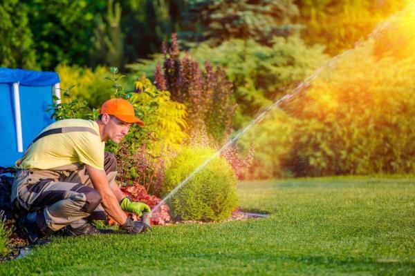 Acosta Tree Service Inc. and Lawn Maintenance