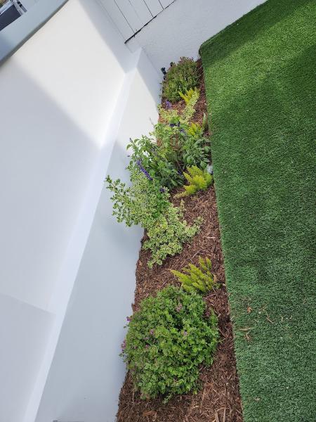 BA True Gardens
