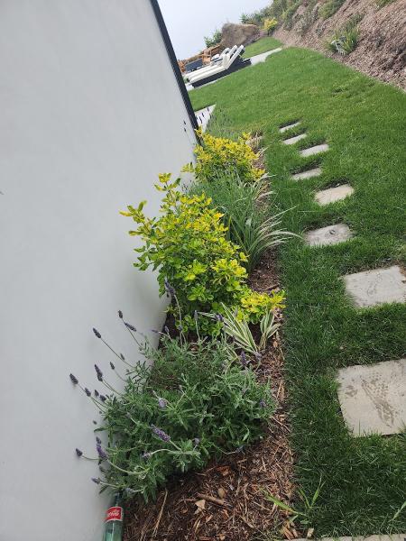 BA True Gardens