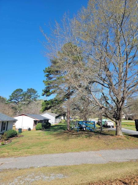 South Fork Tree Care LLC