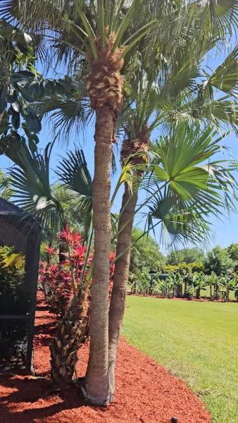 Do It Right Lawn Care LLC