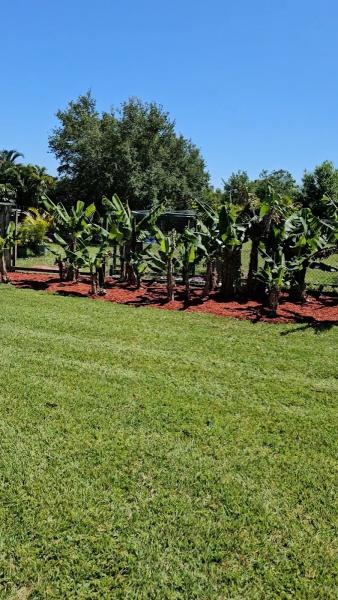 Do It Right Lawn Care LLC