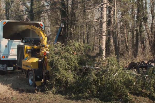 Legends Tree Service