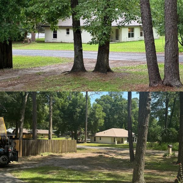 Always Trimming Tree Specialists LLC