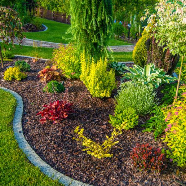 Cedar Park Landscaping