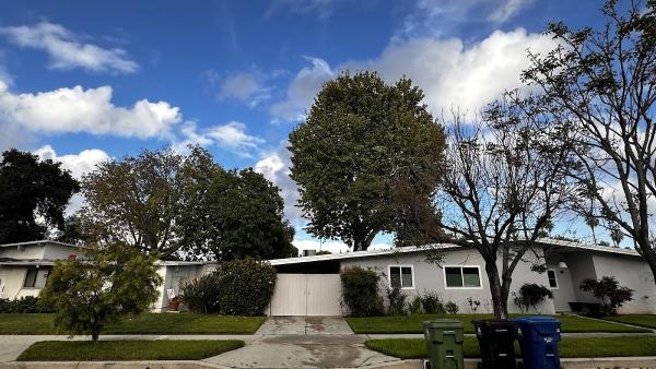 Natural Wonders Trees Inc