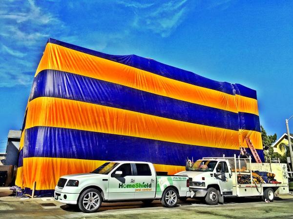 Homeshield Pest Control