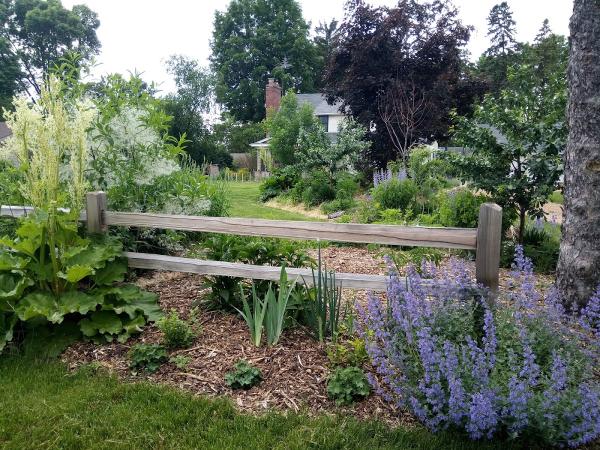 Homegrown Land Design