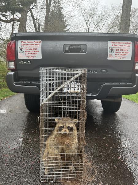 Powerhouse Animal & Pest Control LLC