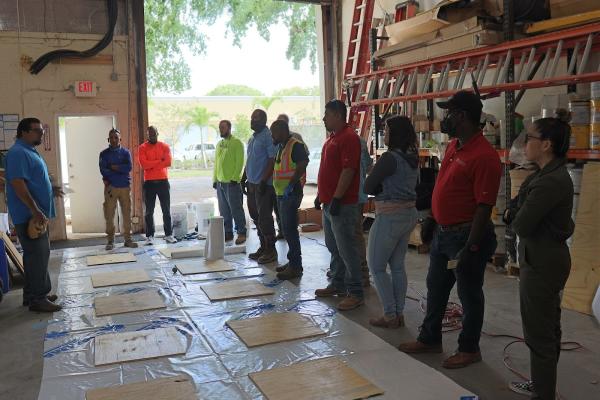 Pegasus Painting & Waterproofing