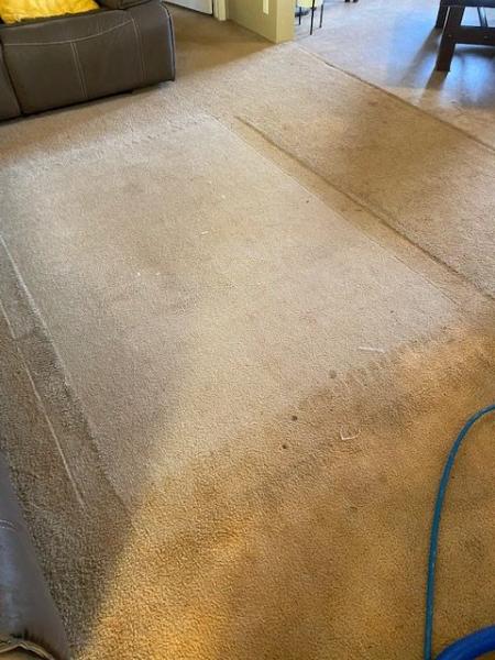 Shepherd Carpet Cleaning