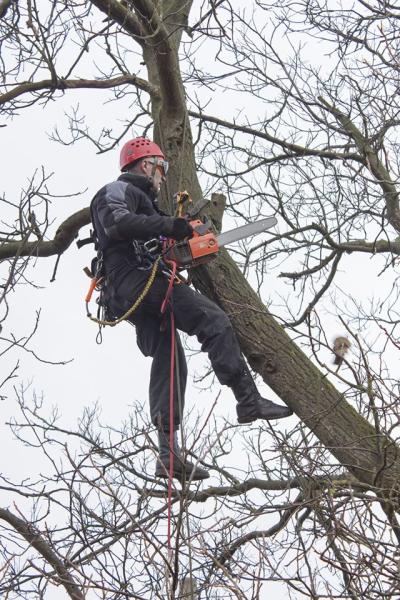 Rice's Tree Service & Landscaping
