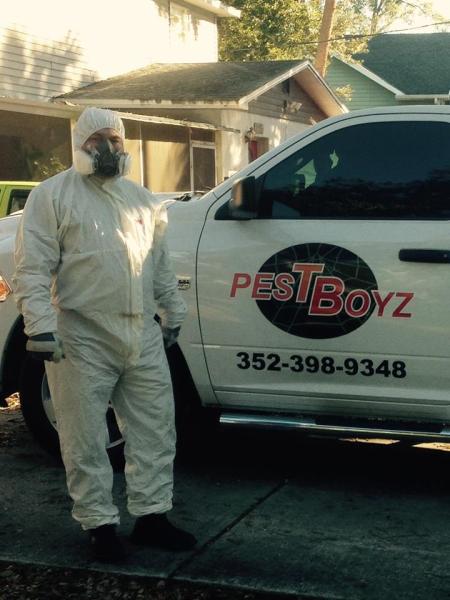 Pestboyz