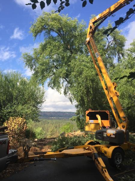 Spokane Tree Pro