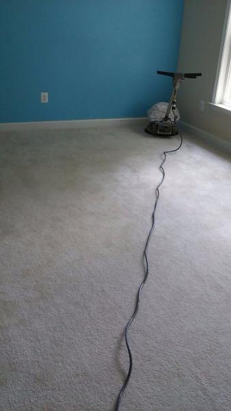 Express Dry Carpet Cleaning