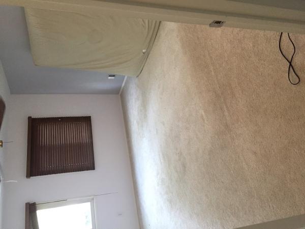 Express Dry Carpet Cleaning