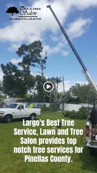 Lawn and Tree Salon