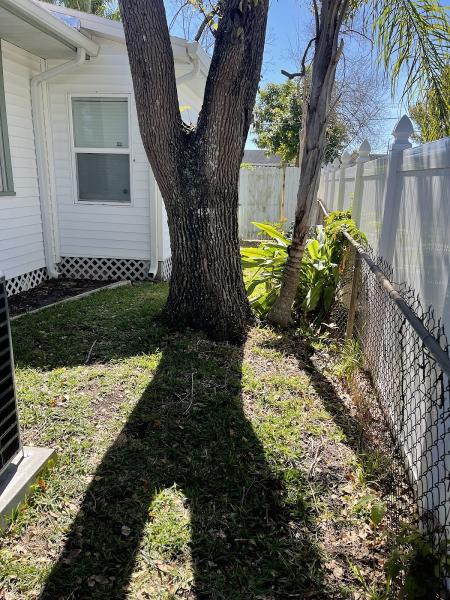 Lawn and Tree Salon