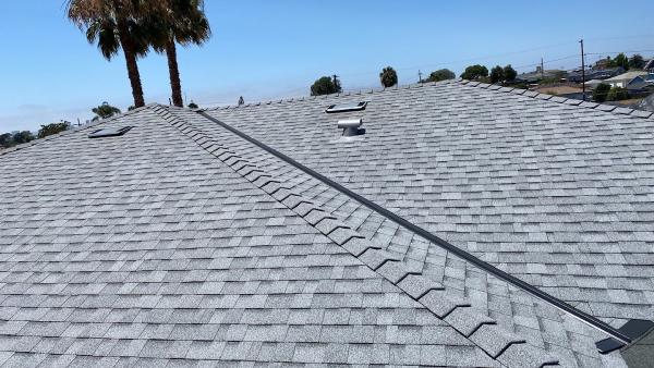 619 Roofing