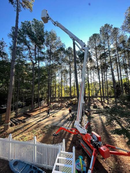 Longhorn Tree Service