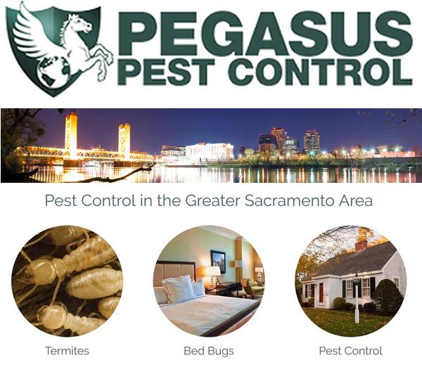 Pegasus Pest Control
