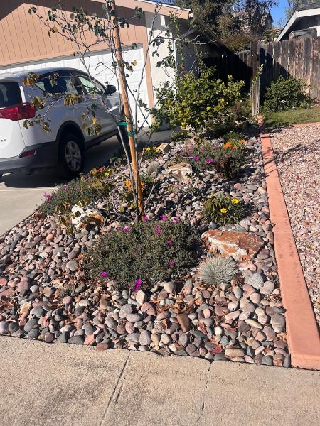 Just Green Landscaping Inc.