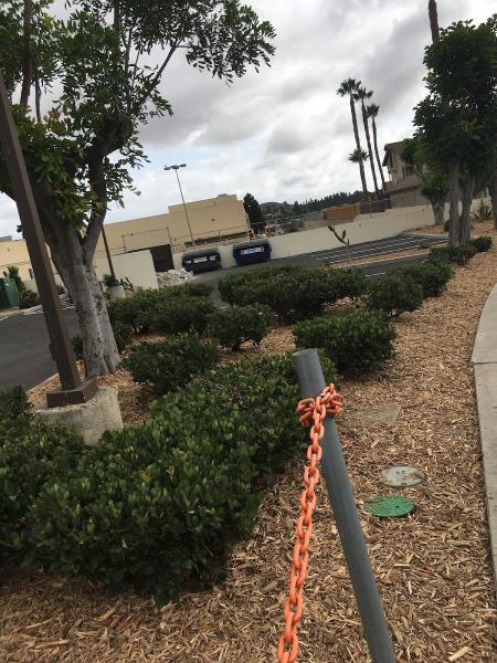 Just Green Landscaping Inc.