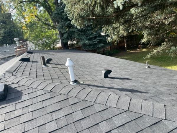 Van Lier Roofing