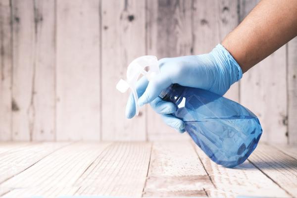 Ewelina's Premier Cleaning Service