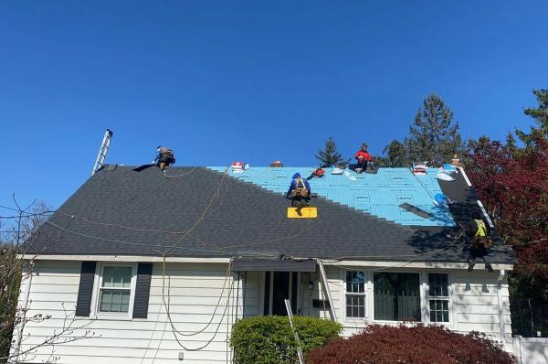Geminis Roofing