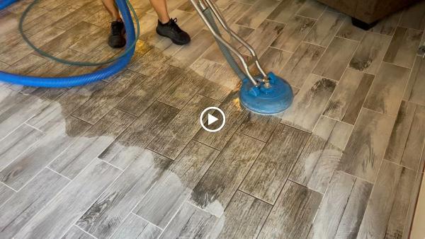 Allaman Carpet Cleaning