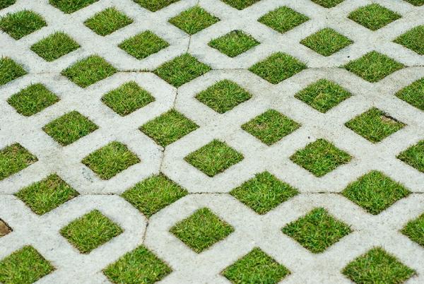 Angel's Lawn Service Inc