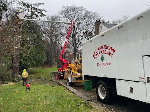 All American Tree Care