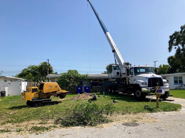 Arbor Source Professional Tree Care