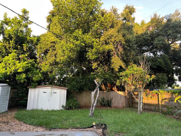 Arbor Source Professional Tree Care