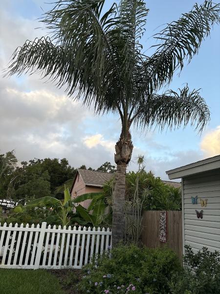 Arbor Source Professional Tree Care