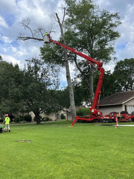 CMT Tree Service
