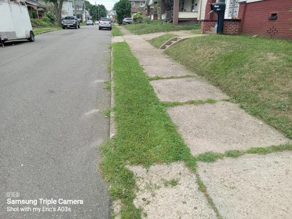 Eric's Lawn & Landscaping