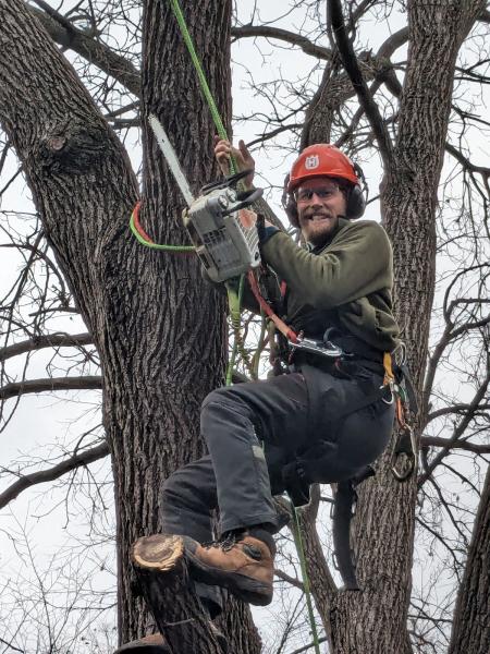 Greiling Tree Service