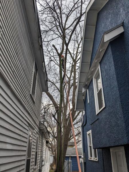 Greiling Tree Service